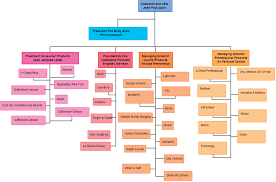 6 Organizational Chart Templates Word Excel Templates