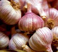 This spicy salad green does particularly well indoors. Top 10 Vegetables To Grow Over Winter Thompson Morgan