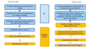 Osis berfungsi sebagai lembaga pencegah pengaruh negatif baik dari internal maupun eksternal sekolah. European Flag European Commission Brussels 1 6 2018 Swd 2018 301 Final Commission Staff Working Document Impact Assessment Accompanying The Document Proposals For A Regulation Of The European Parliament And Of The