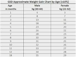 Rigorous German Shepherd Growth Chart Weight Perfect Weight