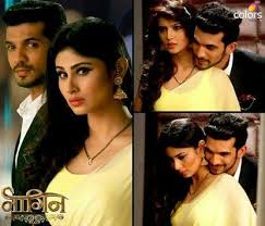 Nagin Serial Arjun Bijlani Actresses Actors