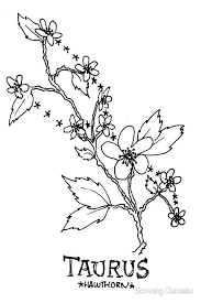 Floral Constellation Taurus Sticker By Zoazig Taurus Tattoos Constellation Tattoos Taurus Constellation Tattoo