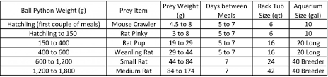 Ball Python Rodent Feeding Size