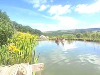Co-design Workshop: Natural Swimming Pool
