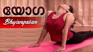 Bhujangasan Yoga For Old Age Yoga For Sciatica Back Pain In Malayalam Youtube