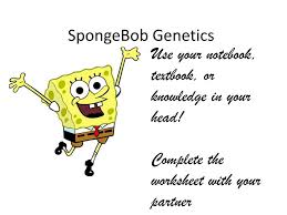 Use your knowledge of genetics to answer the questions below. Ppt Seating Charts Powerpoint Presentation Free Download Id 2925129