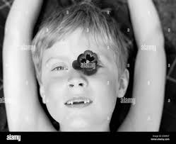 Pansy flower portrait hi-res stock photography and images