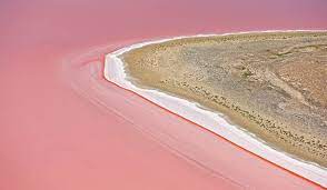 It is difficult to swim at cactus owing to the extensive rock flats and reefs. Everything You Need To Know About South Australia S Bright Pink Lakes Australian Traveller