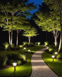 Image result for tbn:AWzYY9q209rRYM::rho0ofa.jeeran.com/24947_ABEER__ROSE.jpg