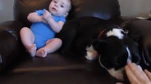 Running away on we heart it. Dog Runs Away When Baby Poops On Make A Gif