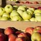 Apple Butter Festival