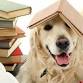 Reading with Rover event image