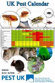 Often, homeowners don't realize that they have a pest problem until it's too late and the. Household Pests Season By Season
