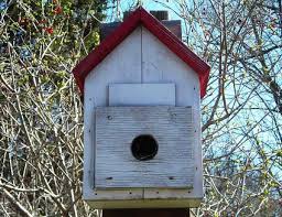 Best Dimensions For Birdhouse Entrance Holes