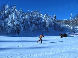 Abodi salazar (ski de fond) : Snow Forecast Snow Reports Snow Conditions
