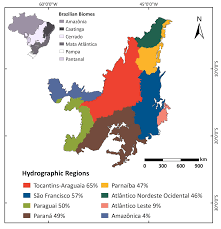 Luna va feliz por la vida arriba de sus patines, pasa la mayor parte de su tiempo patinando a orillas del mar de su querida ciudad, escuchando las canciones que le compone su mejor amigo simón. Plants Free Full Text The Role Of Vegetation On The Dynamics Of Water And Fire In The Cerrado Ecosystems Implications For Management And Conservation Html