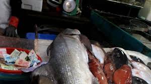 Sur.ly for joomla sur.ly plugin for joomla 2.5/3.0 is free of charge. Etydh7686j4u6m