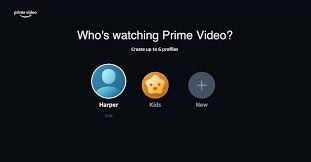 Sometimes double clicking the software shows no response. Amazon Prime Video Is Introducing Individual User Profiles The Verge