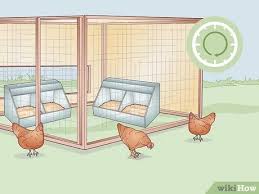 Mar 01, 2021 · how to stop a broody hen? How To Break A Broody Hen With Pictures Wikihow