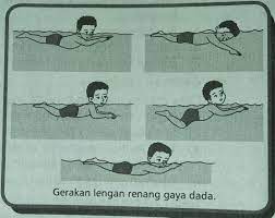 Gerakan kombinasi renang gaya dada adalah… a. Teknik Dasar Renang Gaya Dada Penjaskes