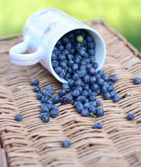 Pin Von Mary Auf M U N D O In 2020 Beeren Fruchte
