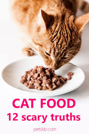 Cat Food Twelve Scary Truths The Pets Kb In 2020 Best Cat Food Cat Treat Recipes Salmon Cat