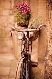 Pin De Rosemarie Octaviano Em Photography Art Vintage Bicicletas Bicicletas Vintage
