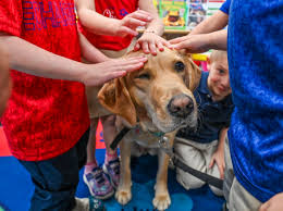 WVIA 2024 YEAR IN REVIEW: Looking back through photos