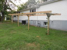 This awesome, huge kiwi vine covers this trellis. Hardy Kiwi Questions
