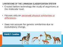 Taxonomy And Classification Ppt Download