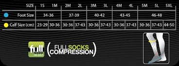 Compressport Full Socks V2 Compression