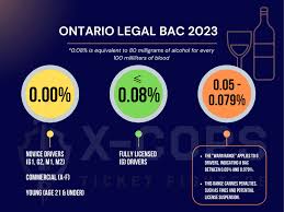 Ontario Driver'S Abstract Order Ontario Drivers Abstracts, 45% Off