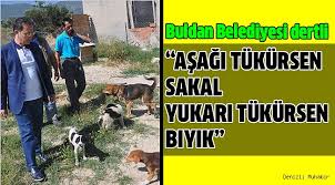 Buldan Belediyesi Ne Yapacagini Sasirdi Yasam Denizli Muhabir Denizli Haberleri