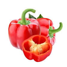 Image result for Capsicum