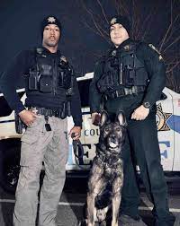 Live PD