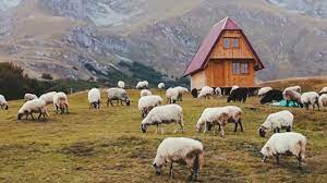 Wir würden uns freuen, sie in unserem verein als neues mitglied begrüßen zu dürfen. Thunguyenvlog D3wvwoe3zue Thu Nguyen Vlog Soft Piano For Working Youtube Rm Follows 6 People On Medium Jograjovem