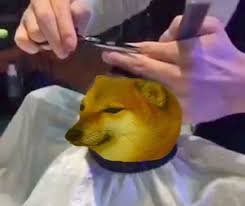 Ayo instal aplikasi snakc video nyah masukan kode yg tercantum di gambar ini. 58 Ide Doge Dan Cheems Di 2021 Anjing Lucu Gambar