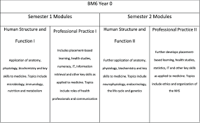 Dark grey kitchen units ukcat 2021 tax. An Outline Of The Year 0 Curriculum Year 0 Of The Bm6 Programme Is Download Scientific Diagram