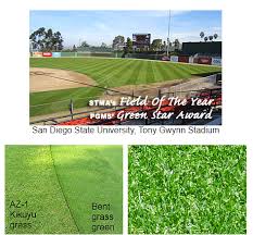 16 x 72 long rolls with ½ of soil. Stover Seed Offers Az 1 An Improved Type Of Kikuyu Grass In Comparison To Bermuda Grass It Is More Tolerant To Cold Warm Season Grass Bermuda Grass Grass