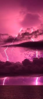 Piranha plants are also featured in super mario land, which takes place in sarasaland.they are referred to as pakkun flower or pakkun originally. Hot Pink Baddie Aesthetic Novocom Top