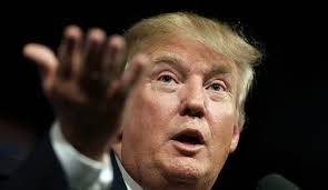 Articles by David Manney