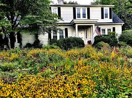 Same day delivery, low price guarantee.send flowers, baskets, funeral flowers when you order through our secure website, you're sure to get fresh flowers in nelson county, ky. Full Of Flowers Front Yard Garden Stands Out Kentucky Today