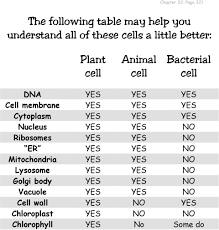 As in all animal cells, the cells of the human cheek do not possess a cell wall. But What About The Prokaryotic Cells Pdf Free Download