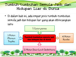 Daunnya banyak dan lebar serta pokoknya yang tinggi untuk menerima cahaya matahari. Geografi Tingkatan 3 Sulaiman Bin Laide Moe Flip Pdf Anyflip