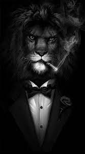 Iphone X Wallpaper Background Screensaver E3a1bec3d7a81cad251d5e7b452c08b4 4k Hd Free Download Lion Live Wallpaper Cool Live Wallpapers Live Wallpaper Iphone