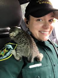 Deputy Jennifer Dippel has a soft spot for animals. So when she came across  this kitten