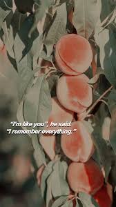 Lockscreen Tumblr Call Me By Your Name Wallpaper 99 Call Me By Your Name Lockscreens Tumblr In 2020 Your Name Quotes Your Name Wallpaper Call Me