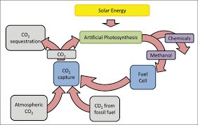 The images that existed in photosynthesis and cellular respiration flow chart are consisting of best images and high vibes pictures. Photocatalytic Conversion Of Carbon Dioxide Into Valuable Chemicals In Artificial Photosynthesis Systems Recent Developments And Patents Review Bentham Science