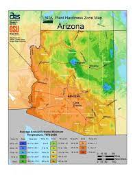 The colorado plateau rises to elevations of 5,000 to 8,000 feet and occupies the northern part of the state, except for a narrow strip along the northwest border. Usda Plant Hardiness Zone Map Watters Garden Center