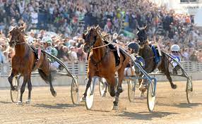 Solvallas internationella elitlopp eller i dagligt tal enbart elitloppet är sveriges och en av världens största och mest varje år bjuds 16 hästar in till elitloppet, dessa delas in i två. Elitloppet Wikipedia